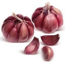 imagem de HORTI - ALHO ROXO