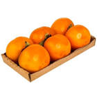 imagem de HORTI - CAQUI BDJ