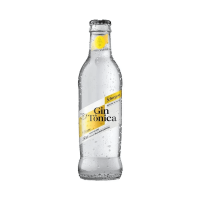 imagem de BB MISTA SCHWEPPES 250ML GIN TONICA