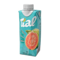 imagem de NECTAR TIAL 330ML GOIABA