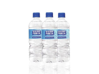 imagem de AGUA MINERAL DIVINA PUREZA 500 ML